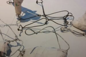 La artista plástica Susana Bakker inaugurará una instalación en El Galpón de las Artes