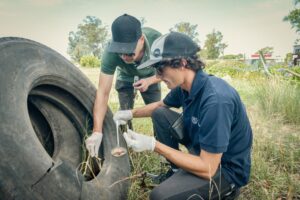 El Municipio incrementa los controles para evitar la propagación del dengue