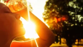 Ola de calor: las alertas se extienden a toda la provincia de Buenos Aires