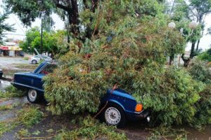 Fuerte temporal en la ciudad de Miramar causó severos daños