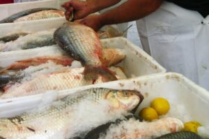 Asociaciones empresariales dicen que la modificación de la Ley de Pesca es un «gravísimo error»