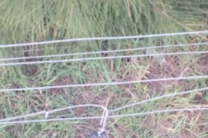 Robaron en gran parte de las casas: Alarma en el Barrio Cerrado «Tierras del Mar»