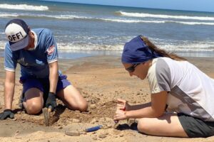 Paleontólogos por un día: en Mar del Plata realizarán una salida abierta para reconocer fósiles en las playas