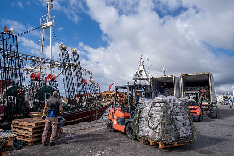 Mar del Plata: Récord de descargas e incremento en el servicio de estiba