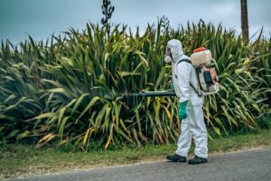 La Municipalidad continúa con los controles para prevenir el Dengue