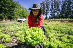 El Municipio acompaña la creación de cooperativa de productoras frutihortícolas de Batán