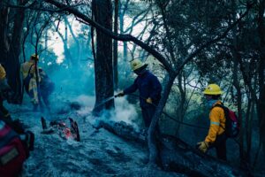 Extinguieron el incendio forestal de Laguna de Los Padres