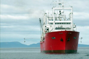 Pedido de informes sobre la presunta pesca ilegal de merluza negra del buque Tai An