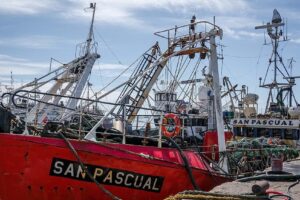 Milei volvería sobre la Ley de Bases original que incluye la pesca