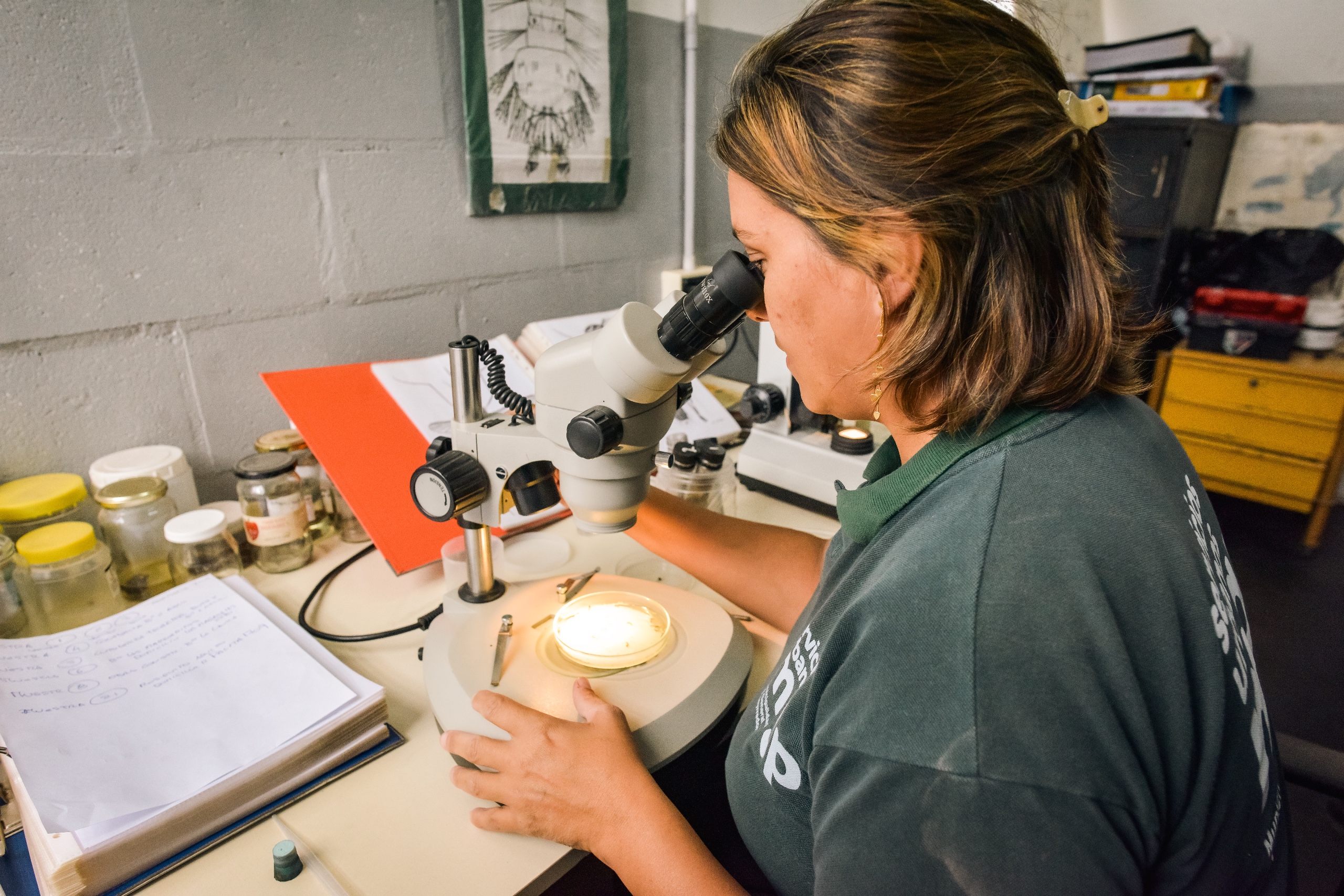 El Municipio intensifica acciones de prevención contra el dengue