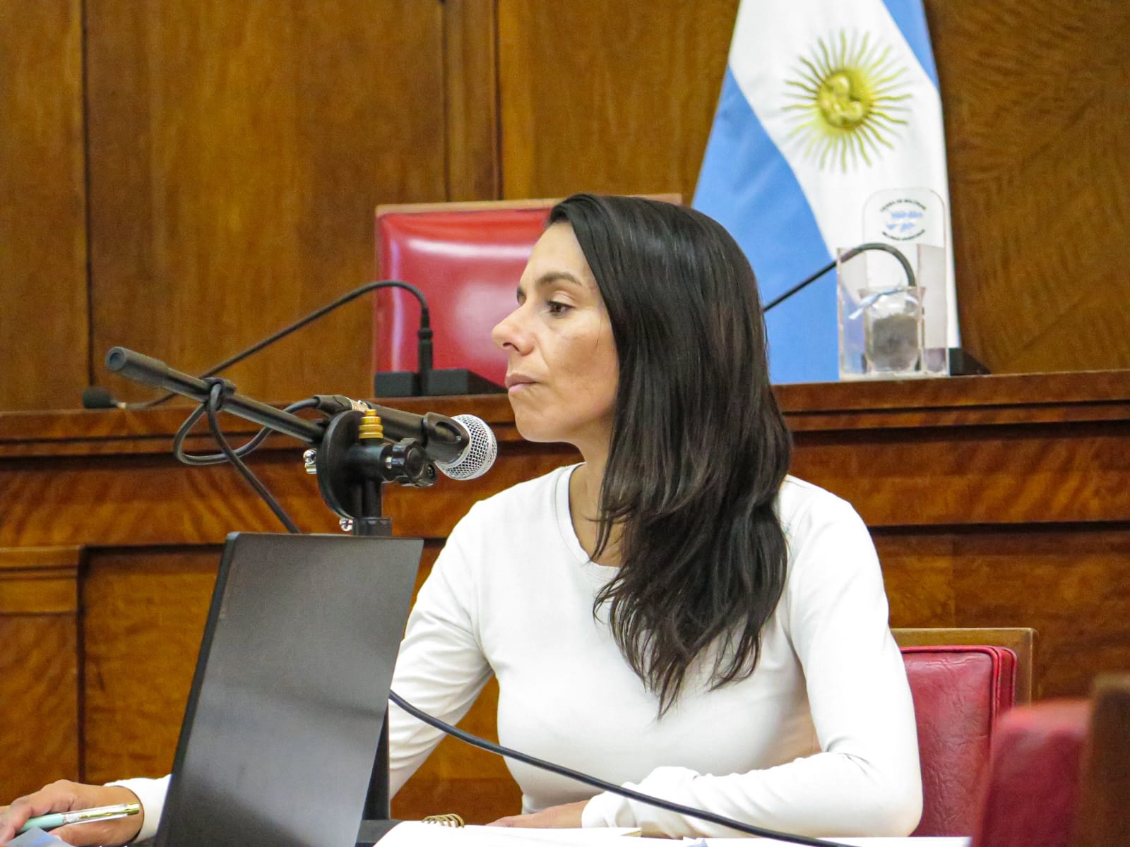 Ayala: “El Municipio debe controlar el comercio de usados: ahí puede haber negocios del delito”