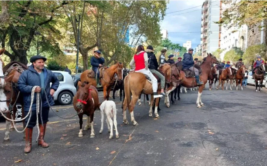 Enojo por la ola de robos y faena de caballos en Mar del Plata: Protestó hasta “El Zorro”