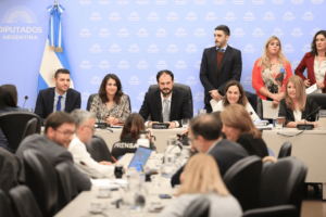 ¿Cómo quedó la ley Bases que se votará la semana que viene en Diputados?