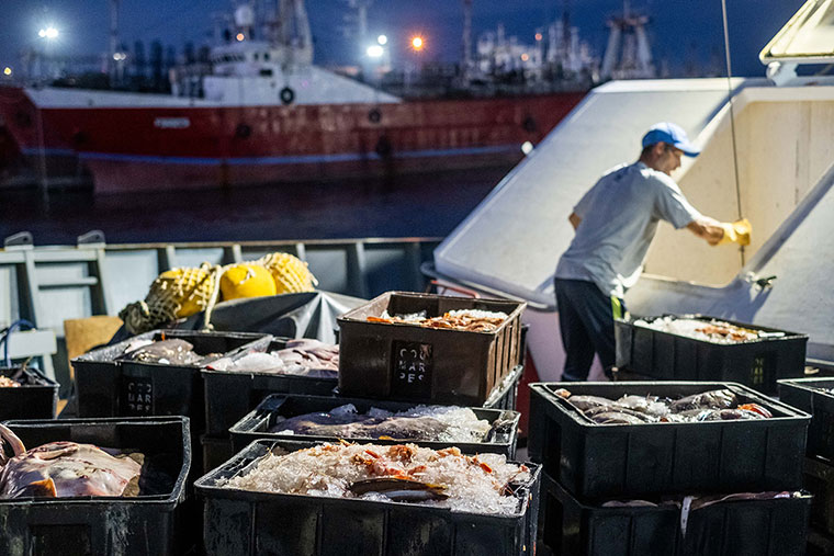 “Si se relaja el sistema de investigación y control hay riesgos de repetir sobreexplotación pesquera”