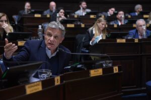 Pulti : » El DNU viola la Constitución y Espert la ley»