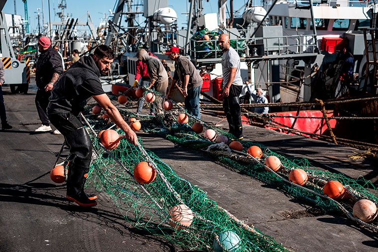 Dispar acatamiento del paro en Mar del Plata en la actividad marítima y pesquera