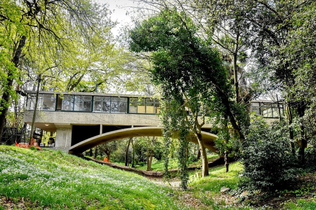 Consecuencias de no saber lo que se tutela: la irresponsable programación en la Casa sobre el Arroyo