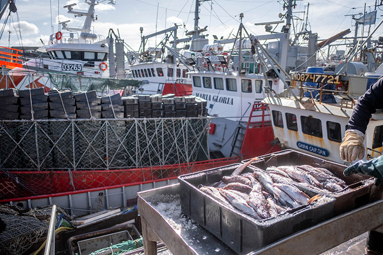 Luego de la conciliación obligatoria, zarpa la flota fresquera de altura