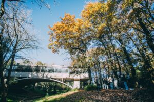 El Museo Casa sobre el Arroyo recibió a más de 14 mil visitantes