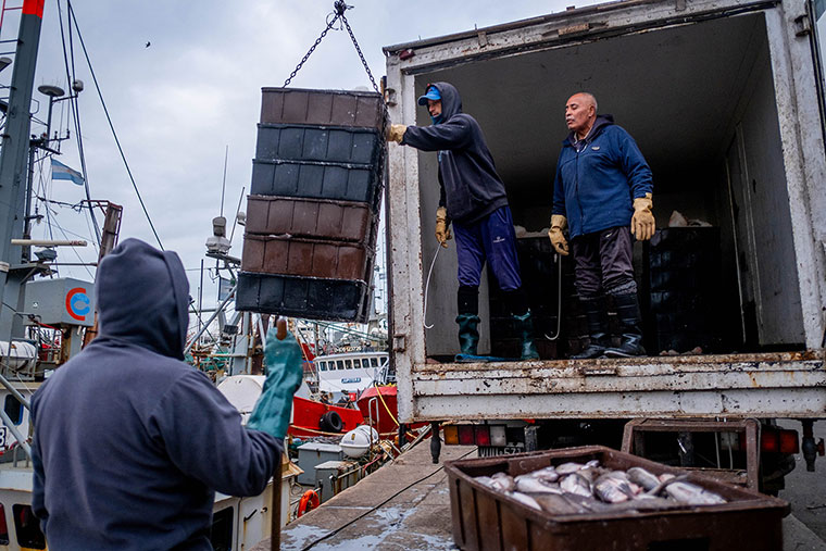 La merluza no levanta en Mar del Plata