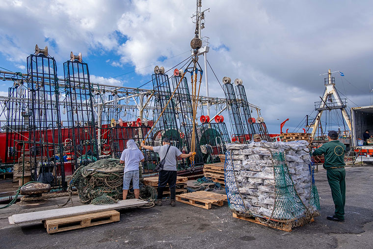 Los desembarques en Mar del Plata crecieron 38 por ciento
