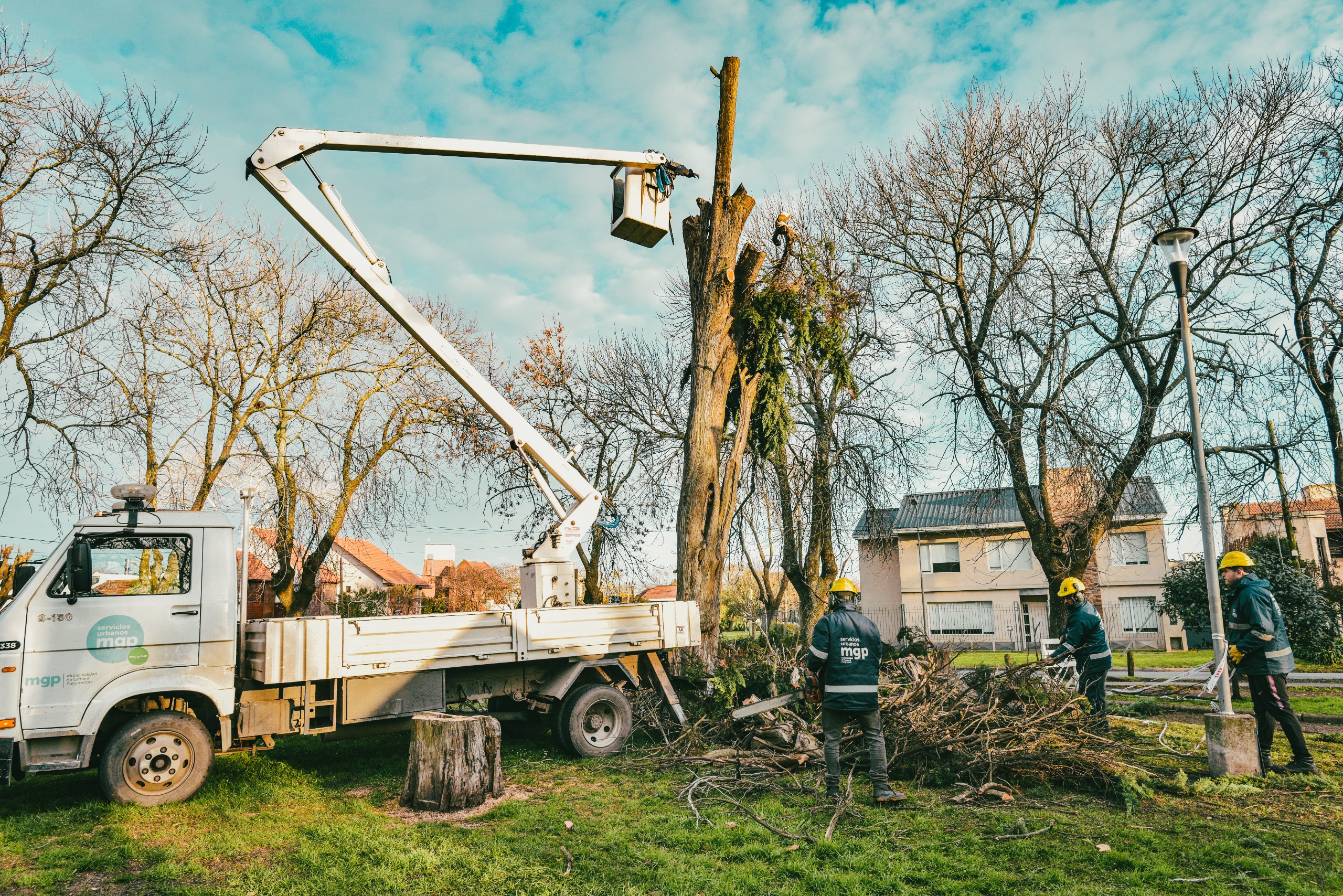 El EMSUR avanza en la reforestación del Parque Primavesi