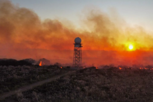 Impactante incendio cerca del predio de Obras Sanitarias sobre la ruta 11