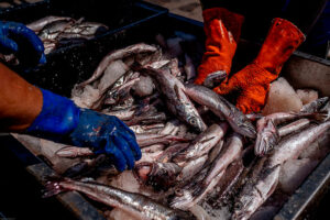 Las cámaras pesqueras piden la renovación de las cuotas de pesca