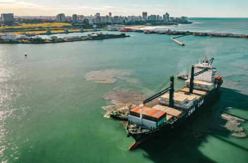 La operatoria de comercio exterior del puerto de Mar del Plata creció 130% en el primer semestre