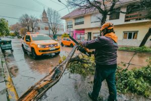 El Municipio brindó asistencia frente a distintas situaciones como árboles, postes y carteles caídos por los fuertes vientos
