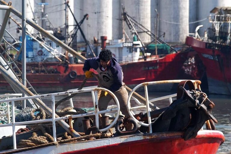 Un paro del SOMU mantiene paralizada la actividad en el puerto de Mar del Plata y otros puntos del país