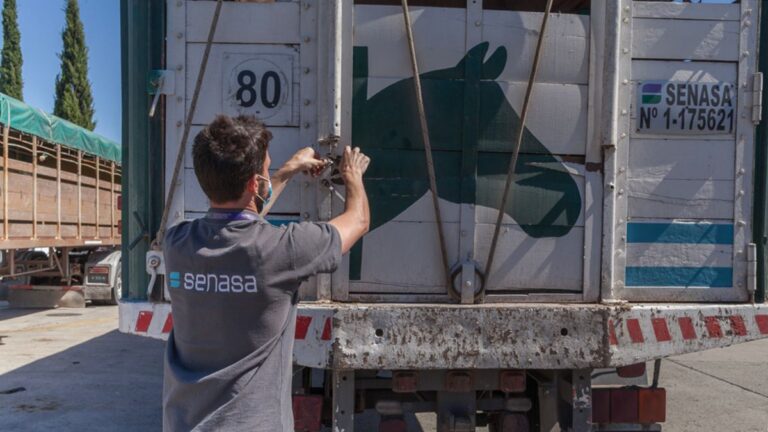 Se abrió el mercado de Omán para la exportación de equinos en pie