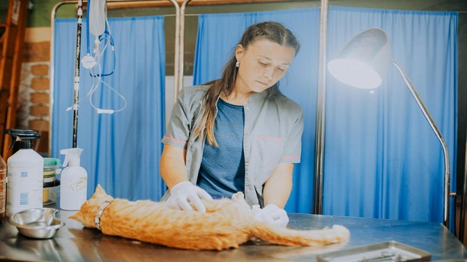 Nuevas ubicaciones de los quirófanos móviles para animales