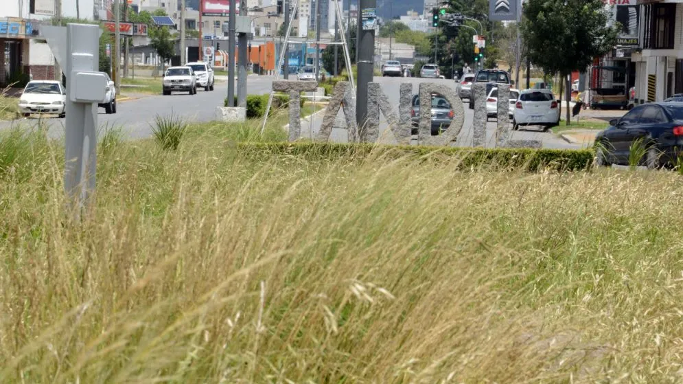 En Tandil deben cortar el pasto de la ruta nacional 226 a pesar del aumento de peajes y multas
