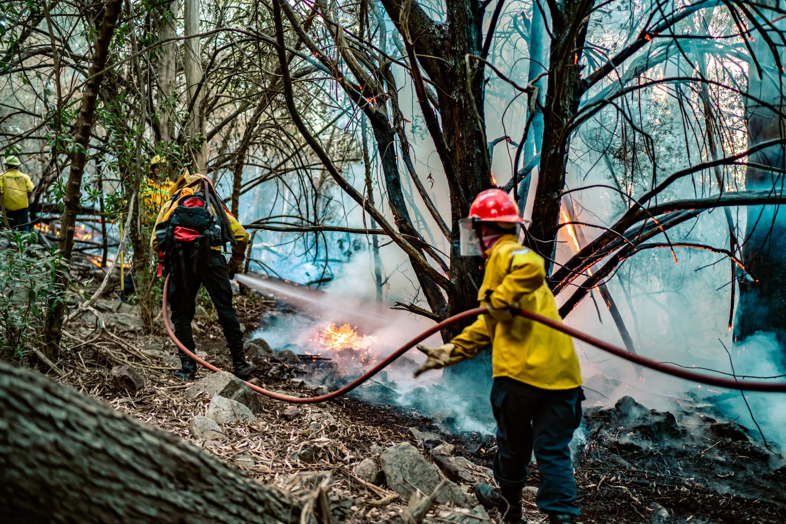 Treinta incendios en un solo día: se reforzó el trabajo de prevención