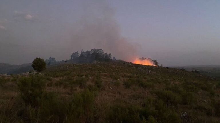 Tandil: preocupa el aumento de incendios, con más de 35 intervenciones de bomberos en lo que va de febrero