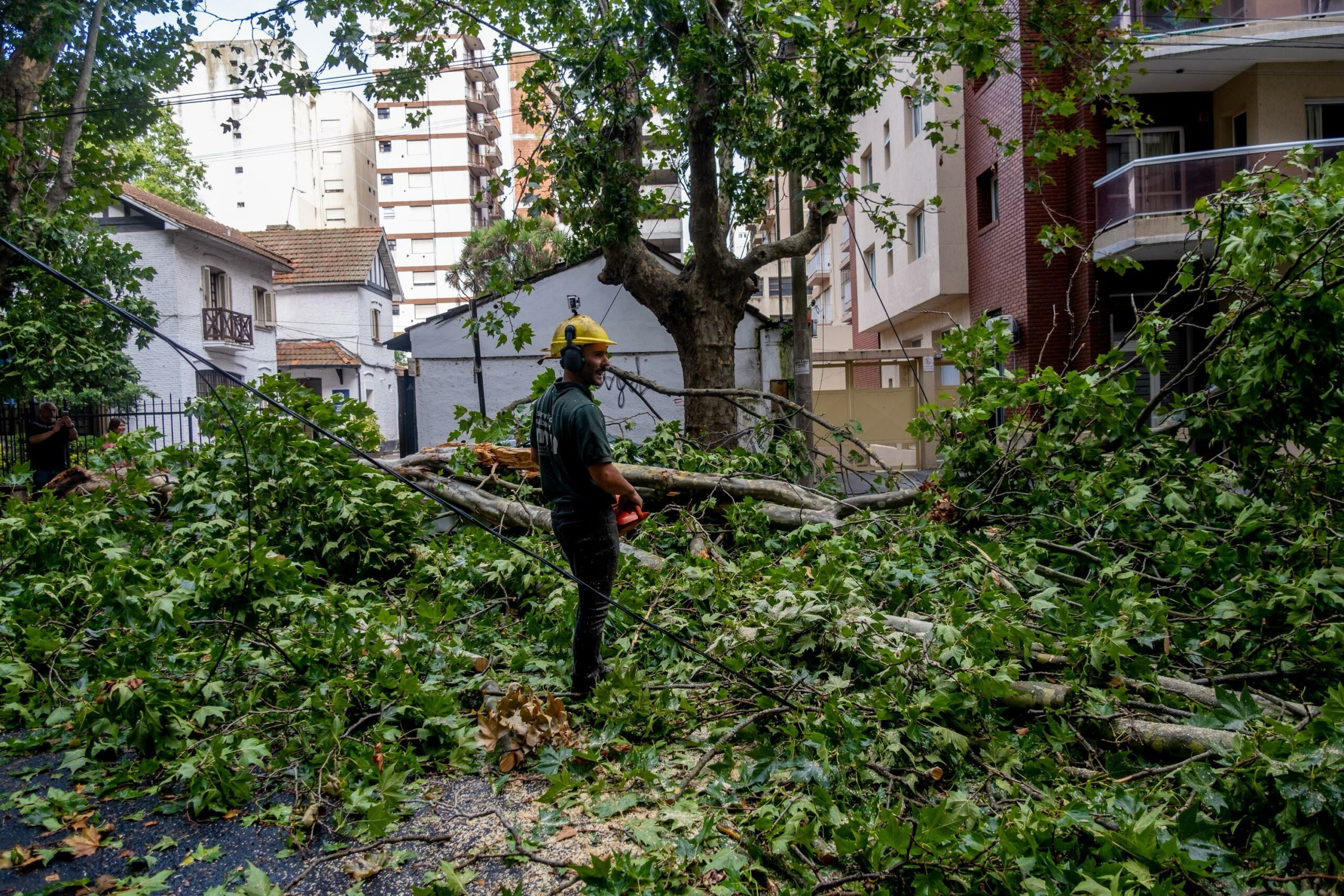 Municipio trabaja en la remoción de árboles y prevención de riesgos