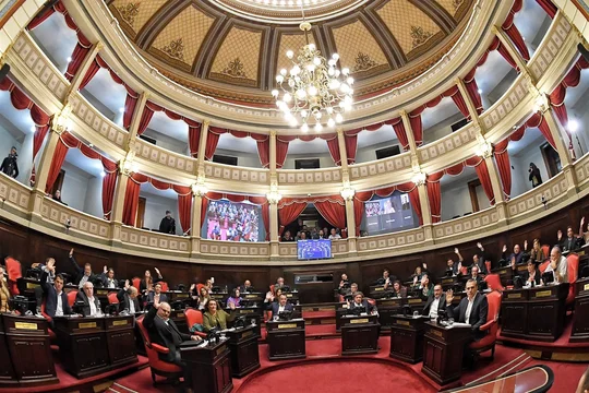 Políticos que trabajan para sí mismos y no para los ciudadanos