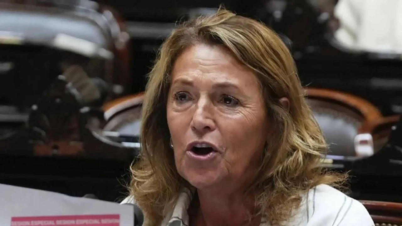 La diputada Campagnoli responsabilizó al kirchnerismo por la causa YPF: “Es una estafa procesal”