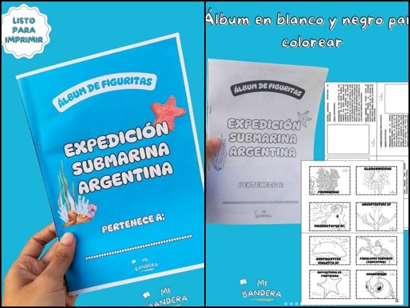 Álbum de figuritas de la expedición submarina del Conicet: una iniciativa lúdica para seguir aprendiendo