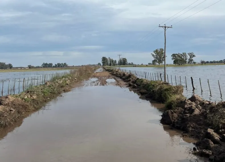Inundaciones: las lluvias complican a miles de hectáreas de campos bonaerenses