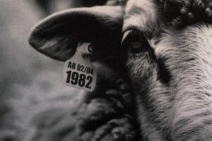 Proyectan hoy en Sala Nachman el documental “Las voces del silencio”