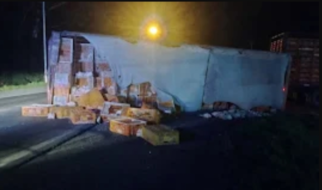 Vecinos de Chacabuco vaciaron un camión con pollos tras un vuelco en la Ruta 7