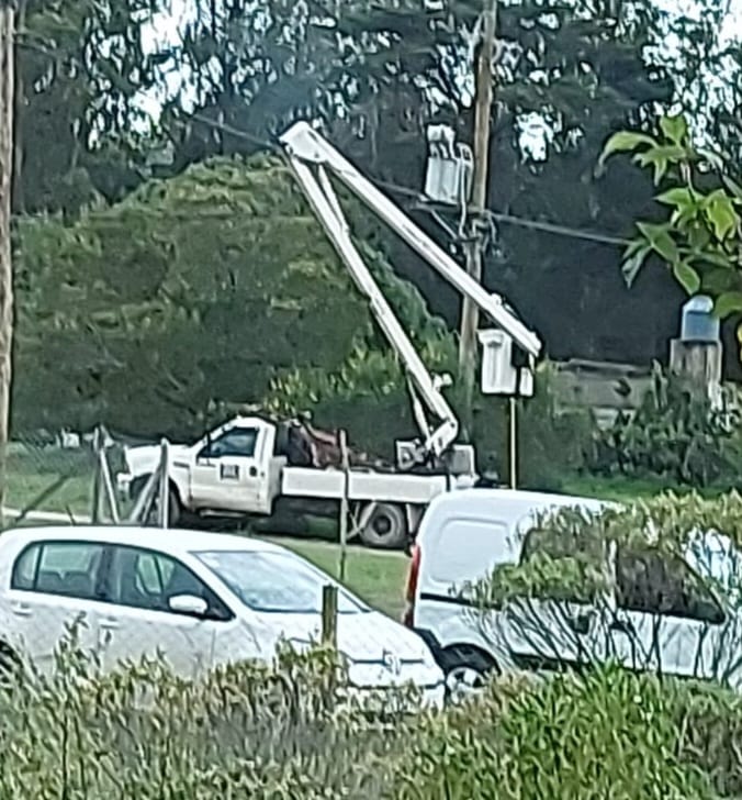 Corte de luz en Reserva Golf Acantilados fue producido por un pájaro en un distribuidor eléctrico