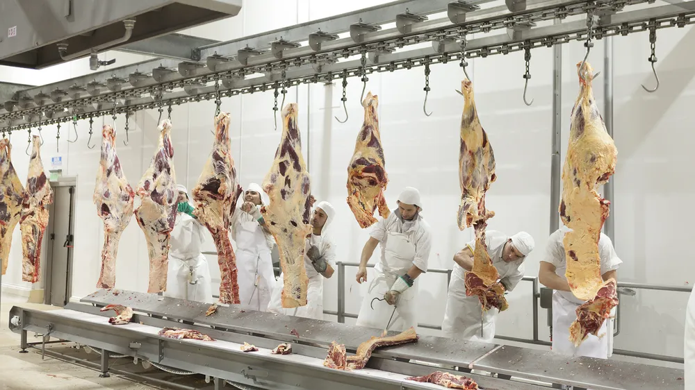 Ante la crisis cárnica, cobrarán el servicio de faena en la provincia