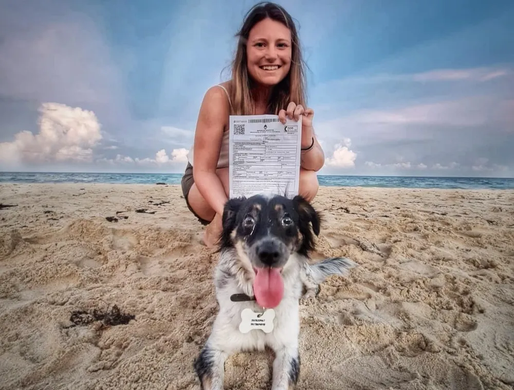 Vacaciones más cerca: cómo viajar con mascotas al exterior y cuánto sale