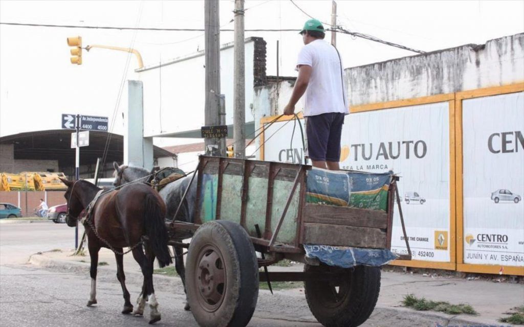 Proponen una jornada de trabajo para actualizar la normativa de la tracción a sangre