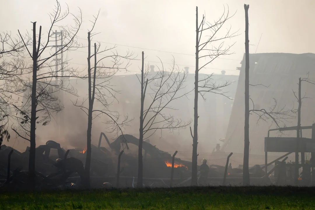 Avanzan las pericias y se investiga si el incendio fue intencional en Spegazzini