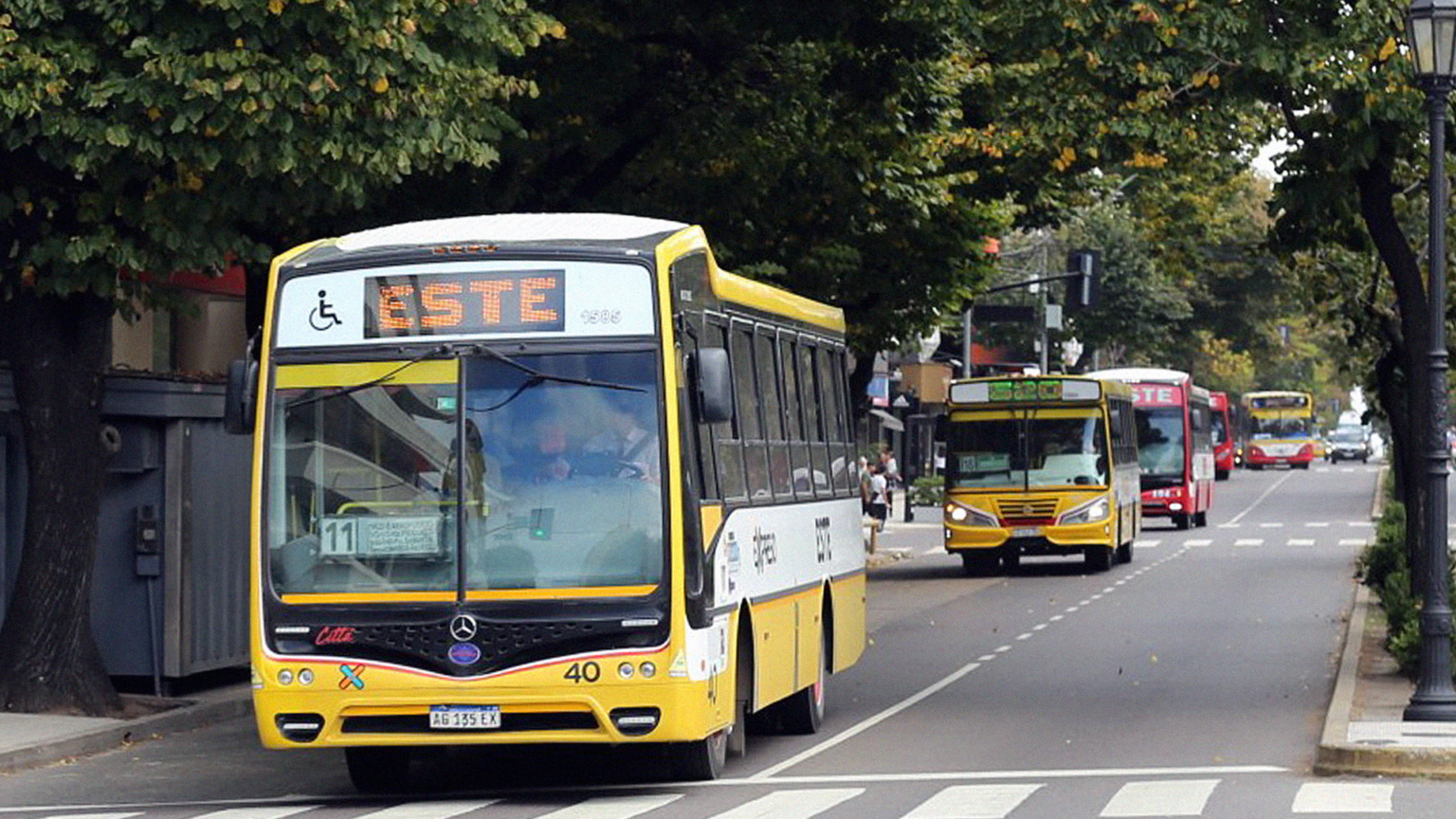 La Plata reabre el debate por su sistema de transporte público después de 15 años