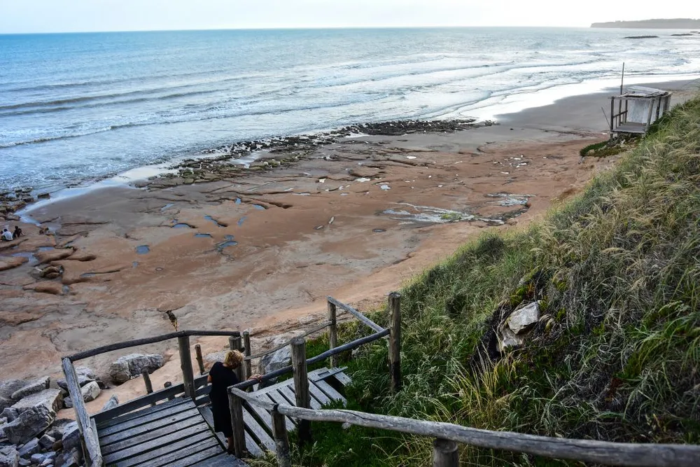 Mar del Plata vive del turismo pero la gente muere en sus playas: La clave es el desvío de fondos afectados; Interpelar a  la justicia
